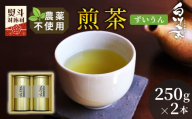 農薬不使用！煎茶 ギフト NO.2 (ずいうん250g×2 計500g)  常磐園 ずいうん 日本茶 緑茶 煎茶 茶葉 お茶 一番茶 白川茶 美濃白川茶 農薬不使用栽培茶 春摘み 大容量 岐阜県 東白川村 お取り寄せ 贈答用 プレゼント ギフトセット