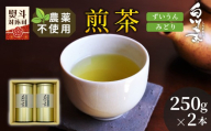 農薬不使用!煎茶 ギフト NO.3 (ずいうん250g+みどり250g 計500g) 常磐園 ずいうん 日本茶 緑茶 煎茶 茶葉 お茶 一番茶 白川茶 美濃白川茶 農薬不使用栽培茶 春摘み 大容量 岐阜県 東白川村 お取り寄せ 贈答用 プレゼント ギフトセット