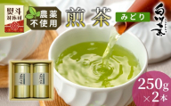 農薬不使用!煎茶 ギフト NO.4 (みどり250g×2 計500g) 常磐園 ずいうん 日本茶 緑茶 煎茶 茶葉 お茶 一番茶 白川茶 美濃白川茶 農薬不使用栽培茶 春摘み 大容量 岐阜県 東白川村 お取り寄せ 贈答用 プレゼント ギフトセット