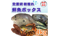 133002　定置網朝どれ鮮魚ボックス4kg