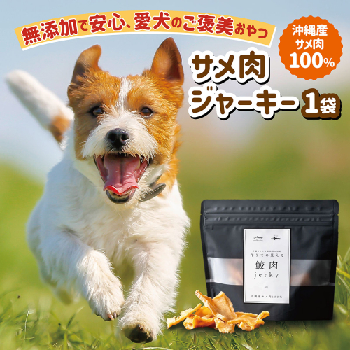 【cafooca /カフーカ】サメ肉ジャーキー（犬用）｜サメ肉 ジャーキー 犬用 ドッグフード おやつ 無添加 沖縄県 南城市 ふるさと納税 cafooca カフーカ 2588244 - 沖縄県南城市