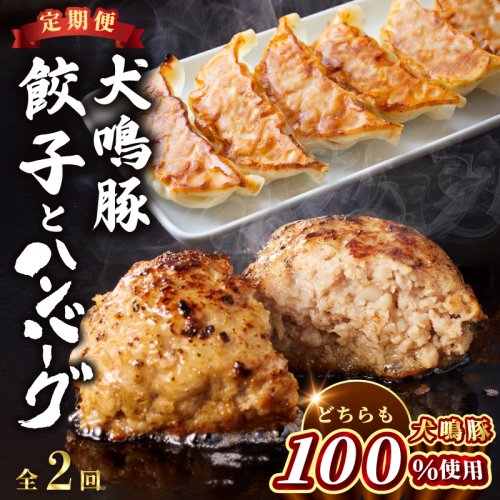 【泉佐野ブランド豚】犬鳴豚餃子 75個／手作りプレミアムハンバーグ（10個入り） 全2回【国産 豚肉 ぶたにく 定期便 食べ比べ 犬鳴ポーク 焼くだけ 人気 総菜 冷凍】 099Z558 2588253 - 大阪府泉佐野市