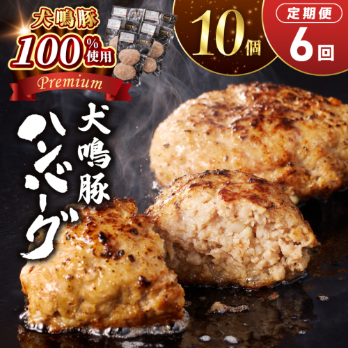 【泉佐野ブランド豚】犬鳴豚の手作りプレミアムハンバーグ（10個入り）×6回【国産 豚肉 ぶたにく 定期便 犬鳴ポーク 普段使い】 099Z553 2588258 - 大阪府泉佐野市