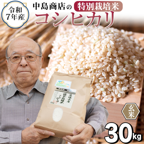 令和7年産 茨城県産 玄米 特別栽培米 コシヒカリ 30kg （30kg×1袋） こしひかり 米 コメ こめ 単一米 限定 茨城県産 国産 美味しい お米 おこめ おコメ 【EH37-NT】 2588302 - 茨城県つくばみらい市