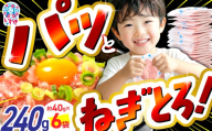 [2026年5月発送]訳アリ 福島製造 ねぎとろ使い切りパック 約240g(約40g×6パック)| ネギトロ 簡単 調理 いわき市 福島県 小分け 冷凍 個包装 使い切りパック 1人前 まぐろたたき まぐろ