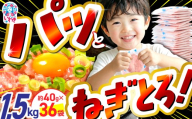 [2026年5月発送]訳アリ 福島製造 ねぎとろ使い切りパック 約1.5kg(約40g×36パック)| 福島県 いわき市 まぐろ まぐろたたき ねぎとろ ネギトロ マグロ パーティー 使い切りパック 海鮮丼 お寿司 軍艦巻き
