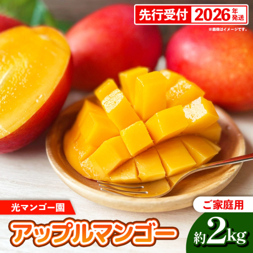 【先行受付】【2026年発送】光マンゴー園の家庭用アップルマンゴー約2kg（4～6玉）白箱 - ご自宅用 先行予約 沖縄県産 産地直送 南国フルーツ 旬の味覚 オススメ 沖縄県 八重瀬町 2588712 - 沖縄県八重瀬町
