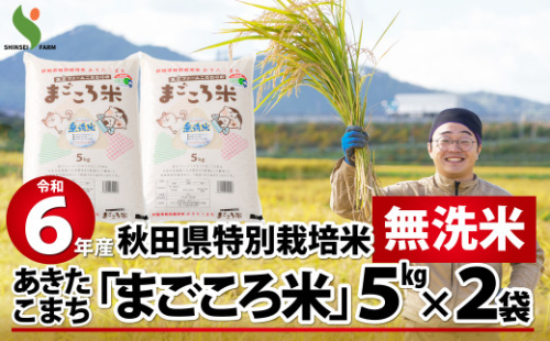 【令和6年産】秋田県特別栽培米あきたこまち「まごころ米(無洗米)」10kg(5kg×2袋) 110P9223　/ 米 無洗米 10kg あきたこまち 令和6年産 特別栽培米 まごころ米 秋田県 お米 弁当 おにぎり 大館 東北 秋田 小分け こわけ リピート率 キロ キログラム