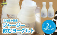 ジャージー飲むヨーグルト 500ml ×2 【ふるさと納税 人気 おすすめ ランキング ヨーグルト ジャージー牛乳 乳酸菌 安定剤不使用 乳化剤不使用 保存料不使用 濃厚 定期便 髙田牧場 北海道 十勝 鹿追町 送料無料】 SKM022