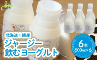 ジャージー飲むヨーグルト 500ml ×6 【ふるさと納税 人気 おすすめ ランキング ヨーグルト ジャージー牛乳 乳酸菌 安定剤不使用 乳化剤不使用 保存料不使用 濃厚 定期便 髙田牧場 北海道 十勝 鹿追町 送料無料】 SKM030