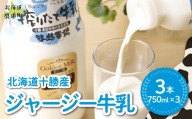 ジャージー牛乳 750ml ×3 【ふるさと納税 人気 おすすめ ランキング ジャージー牛乳 高級 ブランド 高田牧場 定期便 北海道 十勝 鹿追町 送料無料】 SKM046