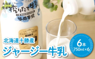 ジャージー牛乳 750ml ×6 【ふるさと納税 人気 おすすめ ランキング ジャージー牛乳 高級 ブランド 高田牧場 定期便 北海道 十勝 鹿追町 送料無料】 SKM050