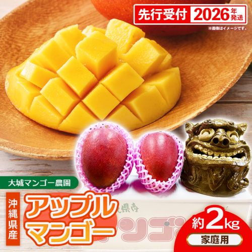 【先行受付】【2026年発送】大城マンゴー農園 マンゴー 家庭用 約2kg - 先行予約 アップルマンゴー 沖縄 産地直送 南国フルーツ 旬の味覚 ご自宅用 オススメ 沖縄県 八重瀬町 2589081 - 沖縄県八重瀬町