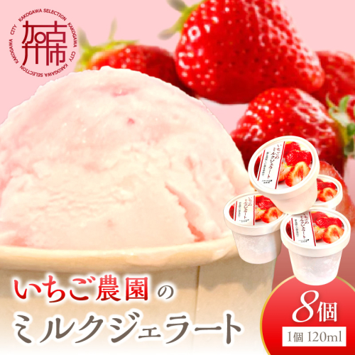 いちごミルクジェラート《 ジェラート アイス カップ いちご ミルク スイーツ 》【2501H09703】 2589209 - 兵庫県加古川市