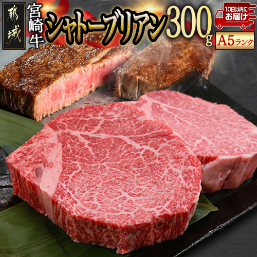 宮崎牛シャトーブリアン(A5)150g×2枚≪真空≫≪みやこんじょ特急便≫_AF-01-001-Q 2589258 - 宮崎県都城市