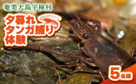 夕暮れタンガ捕り体験 5名様 奄美大島 宇検村 鹿児島県 旅行 自然 冒険 完全プライベート
