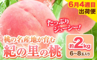 発送「週」指定でお届け!! 甘くてジューシーな紀の里の桃 和歌山県産 紀の里の桃 約2kg (6~8玉) [初採れ桃:6月4週目出荷便(約2kg)] 2026年 先行予約 紀の里の桃 白鳳 日川白鳳 なつっこ 清水白桃 川中島白桃 和歌山 もも