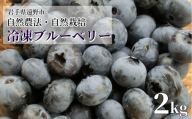 自然農法 自然栽培 冷凍 ブルーベリー 2kg 無農薬栽培 動物性肥料不使用 遠野もぐもぐカントリー 岩手県 遠野市 【2026年7月15日より順次発送】