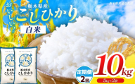 [栃木県共通返礼品][先行予約][令和8年度産][定期2回] 訳あり 栃木県産コシヒカリ 10kg | ふるさと 納税 コシヒカリ お米 精米 白米 玄米 大粒 共通返礼品 送料無料 那珂川町 栃木県