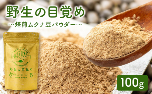 野生の目覚め～焙煎ムクナ豆パウダー～ 2590061 - 三重県名張市