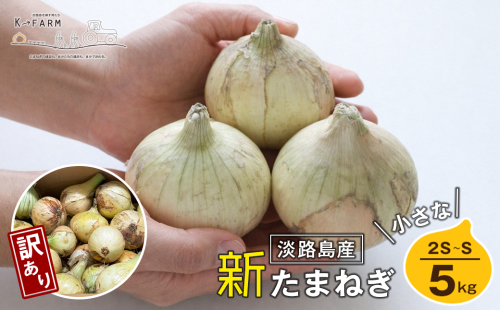 【訳あり】【新玉ねぎ】小さな淡路島たまねぎ 2S～Sサイズ 5kg　玉ねぎ 産地直送 玉ねぎ 2590183 - 兵庫県淡路市