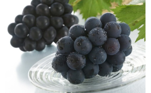 かつらぎ町産 ピオーネ 2房（約1.25kg）【2026年8月中旬～2026年9月末ごろ順次発送】【AQ-ikd732】 2590276 - 和歌山県かつらぎ町