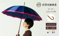 【トンボ洋傘前原光榮商店】レディース「ボーダー」手元：もみじうす茶（名入れ可）| 傘 レディース 雨傘 長傘 婦人 女性用 シンプル おしゃれ フォーマル カジュアル
