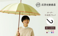 【トンボ洋傘前原光榮商店】レディース「ボーダー」手元：牛本革ブラック（名入れ不可）| 傘 レディース 雨傘 長傘 婦人 女性用 シンプル おしゃれ フォーマル カジュアル