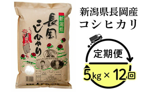 73-4N05Z【12ヶ月連続お届け】新潟県長岡産コシヒカリ5kg 259233 - 新潟県長岡市
