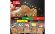 生トン 人気5種セット（パセリ味・サラミ味・しゅうゆ味・バジル＆レモン味・柚子こしょう味）計25本（各40g×5本）豚生ウインナー / 佐賀県 / 山代ガス株式会社 旬菜舎さと山 [41AABM055]