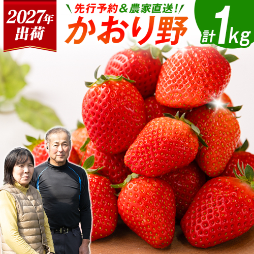 ＜2027年出荷＞先行予約 宮崎県産 いちご「かおり野」計1kg（250g×4パック）フルーツ 期間限定 デザート ご褒美【B700】 2592523 - 宮崎県新富町