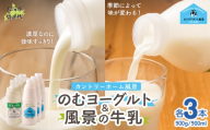 のむヨーグルト900g 風景の牛乳900ml 各3本 【 ふるさと納税 人気 おすすめ ランキング 牛乳 ヨーグルト 無添加 てんさい オリゴ糖 濃厚 定期便 カントリーホーム風景 北海道 十勝 鹿追町 送料無料 】 SKB099