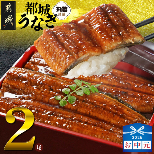 【お中元】宮崎県育ちのうなぎ蒲焼2尾300g以上≪山椒・たれ付≫_13-M301-SG 2592807 - 宮崎県都城市