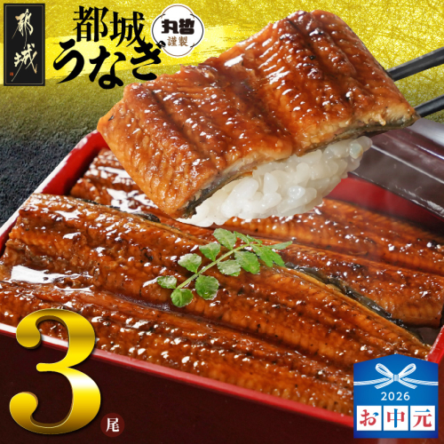 【お中元】宮崎県育ちのうなぎ蒲焼3尾500g以上≪山椒・たれ付≫_AC-M301-SG 2592808 - 宮崎県都城市