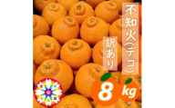 【先行受付】愛咲果樹園 「 不知火 ( デコ )」 訳あり 約8kg＜C71-13＞_訳アリ わけあり ワケアリミカン みかん しらぬい シラヌイ デコ 常温 フルーツ 果物 くだもの 家庭用 人気 柑橘 かんきつ 不揃い 規格外 傷 愛媛 旬 産地直送 産直 季節限定 【1344724】 YWTS011