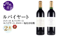 丸藤葡萄酒 ルバイヤートワイン【ドメーヌ ルバイヤート・ルバイヤート メルロー 塩尻市収穫】2本セット（MG）E7-650【ワイン 赤ワイン Wine わいん 甲州市 山梨県】