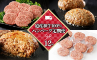 ハンバーグ 12ヵ月 定期便 道産和牛100%ハンバーグ 120g×10個×12回 国産 北海道 牛 肉 牛肉 国産牛 和牛 冷凍ハンバーグ ［168-TN80］