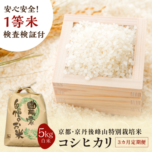 【3ヶ月定期便】2026年産 京都・京丹後峰山 特別栽培米コシヒカリ 5kg 【白米】 1等米 検査済証付　お米 精米 お弁当 おにぎり 京都府産 白米 特別栽培 一等米 ふるさと納税 米 定期便 生産者応援 農家応援 2592964 - 京都府京丹後市