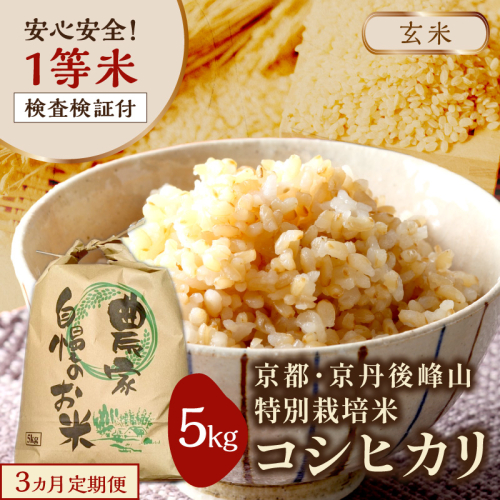【3ヶ月定期便】2026年産 京都・京丹後峰山 特別栽培米コシヒカリ 5kg 【玄米】 1等米 検査済証付　ふるさと納税 米 玄米 定期便 京都 コシヒカリ 特別栽培 ふるさと納税 玄米 定期便
 2592967 - 京都府京丹後市