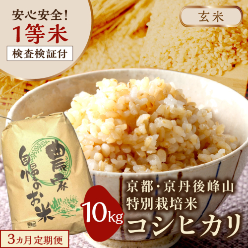 【3ヶ月定期便】2026年産 京都・京丹後峰山 特別栽培米コシヒカリ 10kg 【玄米】 1等米 検査済証付　ふるさと納税 米 玄米 定期便 京都 コシヒカリ 特別栽培 ふるさと納税 玄米 定期便
 2592968 - 京都府京丹後市