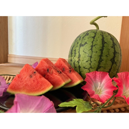 【先行予約】京丹後・俵野産 小玉スイカ 姫甘泉 1玉（2026年7月中旬～発送） 2592970 - 京都府京丹後市