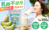 プロテイン Mecha Melonプロテイン (メカメロンプロテイン) 1袋 300g コラーゲンプロテイン  メロン風味 モリンガ配合 乳糖フリー 滋賀県長浜市/山岡精機株式会社 [AQDU001]