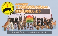 日本捜索救助犬協会の活動を応援！1万円 【被災地支援 感謝状 埼玉県 救助犬育成 犬猫保護 社会貢献活動】