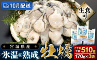 [10月配送] 宮城県産 かき 氷温熟成 牡蠣 生食用(冷凍)170g × 3袋 510g 生食 牡蠣むき身 小分け むき身 むき牡蠣 カキ オイスター 濃厚 冷凍かき 宮城 小分け 冷凍 バラバラ冷凍 冷凍カキ かき 牡蠣 海鮮 魚介 貝類 海の幸 BBQ 家庭用 まるたか水産 宮城県 石巻市 宮城 石巻