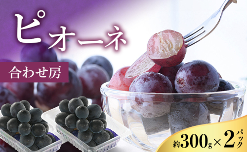【2026年8月より順次発送】 ピオーネ 約300g×2パック（計約600g）合わせ房 若手農家応援 ぶどう ブドウ 果物 くだもの 旬のフルーツ 旬の果物 季節のフルーツ 季節の果物 静岡 浜松市 2594215 - 静岡県浜松市