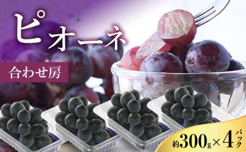 【2026年8月より順次発送】 ピオーネ 約300g×4パック（計約1200g）合わせ房 若手農家応援 ぶどう ブドウ 果物 くだもの 旬のフルーツ 旬の果物 季節のフルーツ 季節の果物 静岡 浜松市 2594216 - 静岡県浜松市