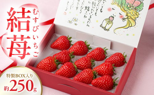 結苺（むすびいちご）約250g（6〜11粒） 特製BOX入り いちご イチゴ 苺 ストロベリー 果物 くだもの フルーツ ギフト プレゼント 贈り物 静岡 浜松市【配送不可：北海道・沖縄・離島】 2594219 - 静岡県浜松市