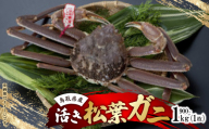 活　鳥取県産タグ付き松葉ガニ LL 1枚(900g～1kg)【1536363】