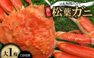 ＜先行予約＞＜蒸し＞ご自宅用日本海獲れたて松葉ガニ　大　1枚　※11月中旬から順次発送【1536860】