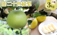 二十世紀梨 特選3kg【1593389】